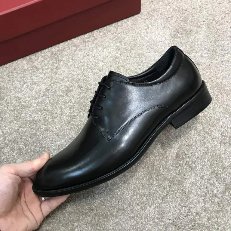 Ferragamo Shoe 